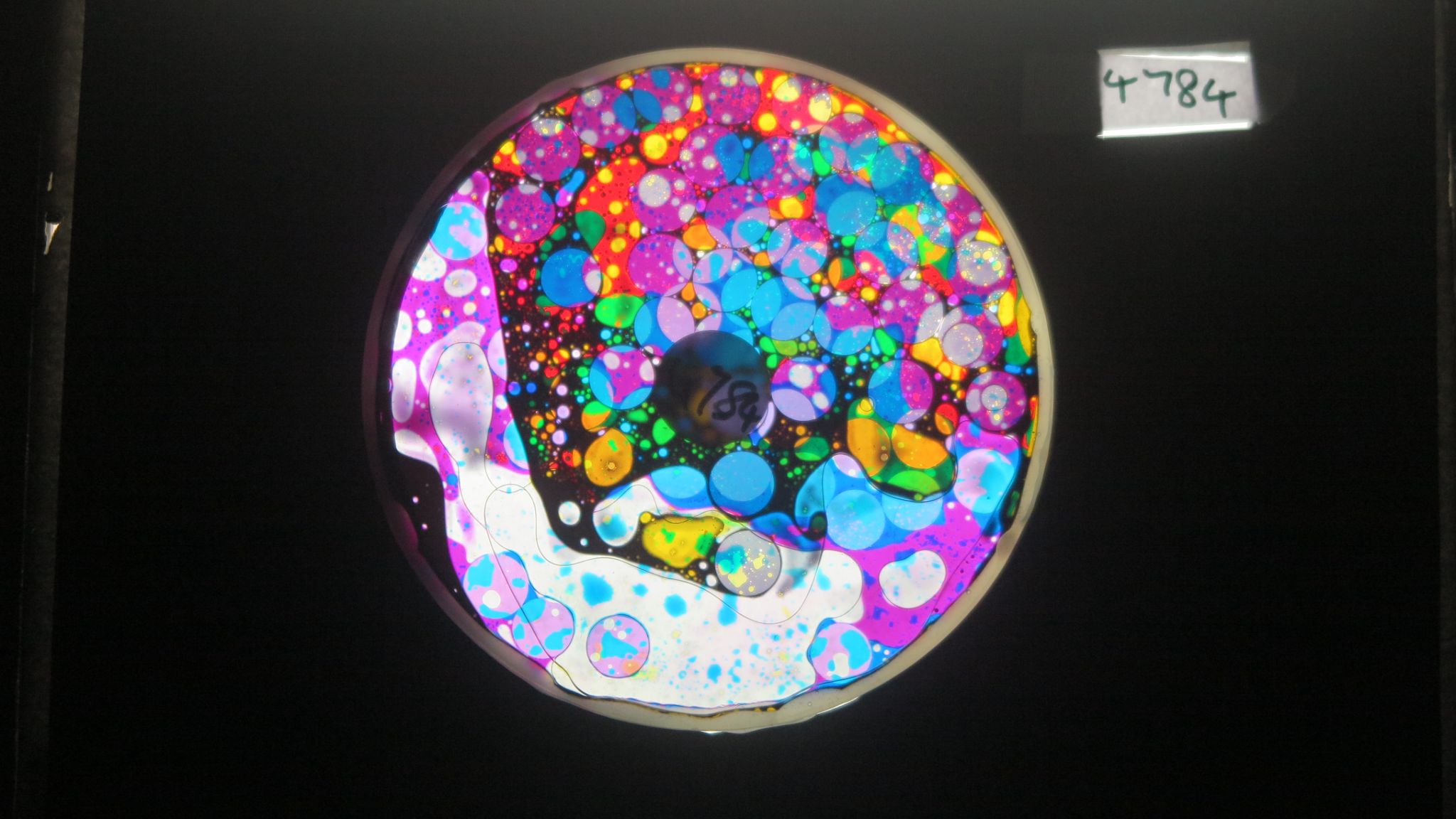 Bv4784 bubble vision oil wheel